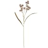 Primitives by Kathy Floral Black Allium Pick 118182