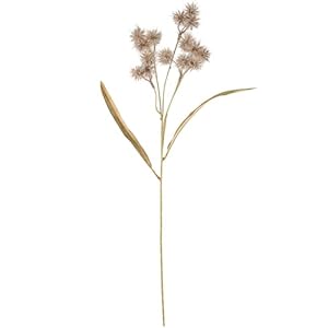 Primitives by Kathy Floral Black Allium Pick 118182