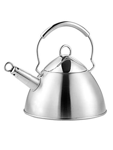 GSW Stahlwaren GmbH Mirage hervidor de Agua, 20 x 11 cm, 2,5 L, Acero Inoxidable, Plata, 30 x 20 x 11 cm