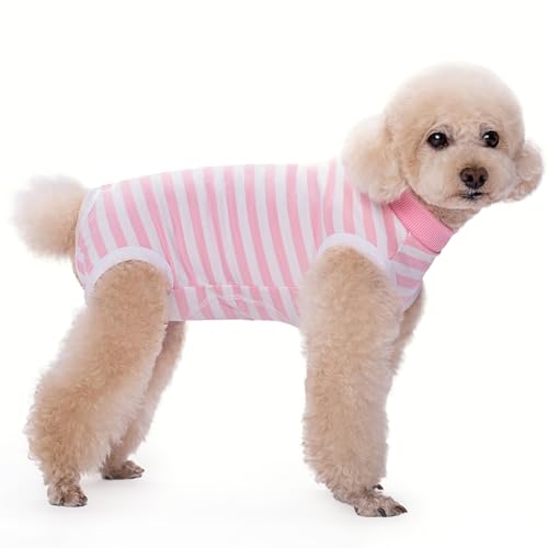 Paipeper Dog Surgery Recovery SuitAX IX q VcA̔DppW[AEJ[R[֕iAnveN^[Arߖh~(sNzCgXgCv)