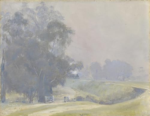 Toile impression Tom Roberts art mural tableau abstrait salon 60x90cm