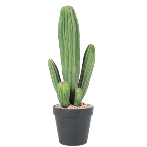 Talaaus Artificial Cactus Fake Cacti 16 Faux Potted Cactus Plants for Home Store Office Decoration