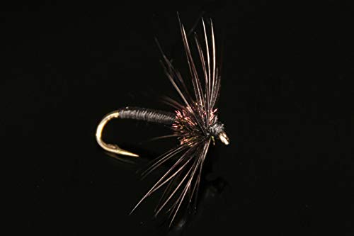 Pechetruite Black Spider Serenity Trockenfliege 2er Pack 16