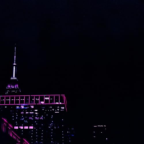 Cyberspace Polymerase