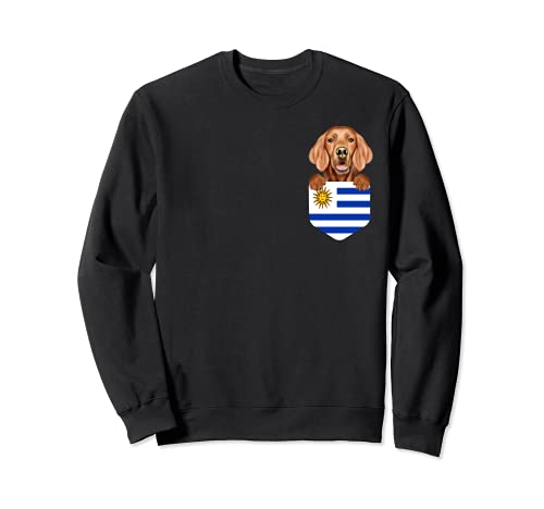 Uruguay Flag Irish Setter Dog In Pocket Sweatshirt, Black