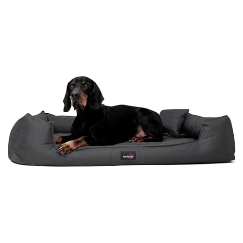 tierlando® Orthopädisches Hundebett Goofy für große Hunde XL bis XXXL mit waschbarerem Polyester-Bezug, ideal bei Gelenkproblemen Größe: 110x90cm | Farbe: 02 Graphit