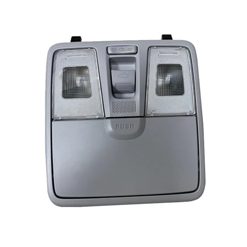 Luz de lectura OEM 92810-c8000 para consola superior Hyundai I20 y Getz