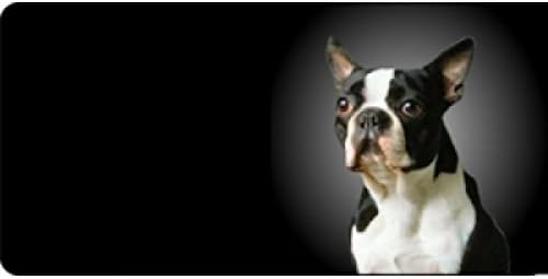 Boston Terrier Dog Photo License Plate Free Personalization on This Plate