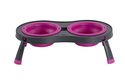 Dexas Pets Double Elevated Pet Feeder, Fuchsia, Small/1 Cup