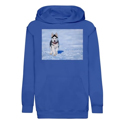 Sweat enfant husky dans la neige pour les sorties d'hiver et l'école
