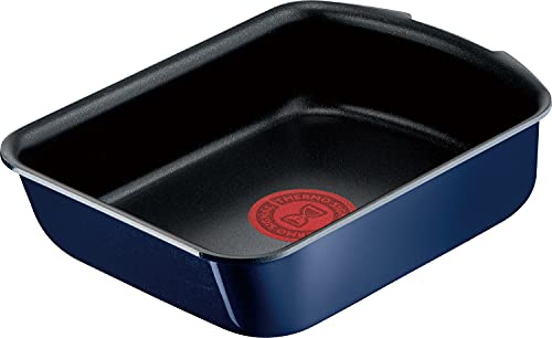 Tefal T-fal L43718 Egg Roaster with Removable Handle, 5.1 x 7.5 inches (13 x 19 cm), Non-Stick, Notification Mark for Optimal Temperature, Dedicated to Gas Fire, 
