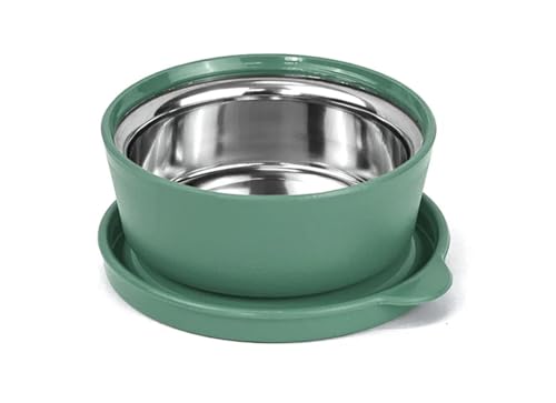 SignoraWare Monarch Mini Mate Stainless Steel Container | Airtight & Leakproof | Small Storage Box for Spices, Chutney, Snacks | Ideal for Office, School & Travel (80ml | Egreen)