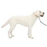 PetSafe（ペットセーフ）犬の引っ張り防止グッズ ジェントルリーダー ヘッドカラー フォーン（ベージュ）Lサイズ