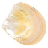 MALUGOGO Plato de servir de comida de material de concha de alta calidad para postres y aperitivos, plato decorativo multifunción para restaurantes y hogar, fácil de limpiar, bandeja única para