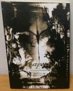 Amazon.co.jp: バンドスコア Laputa 蜉～かげろう～蝣 蜉蝣 ドレミ楽譜