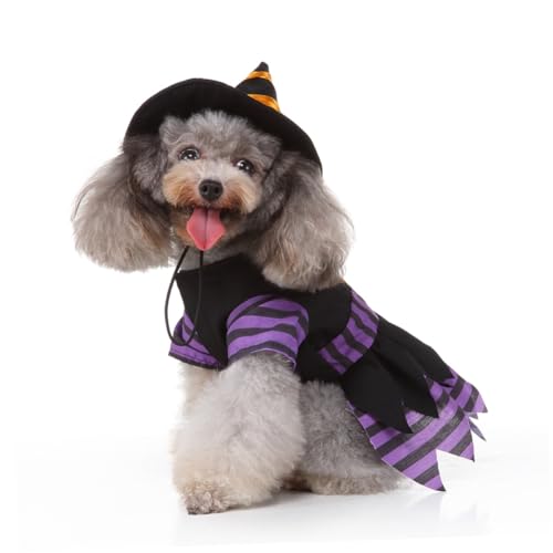 Disfraz de Bruja para Perro Talla L