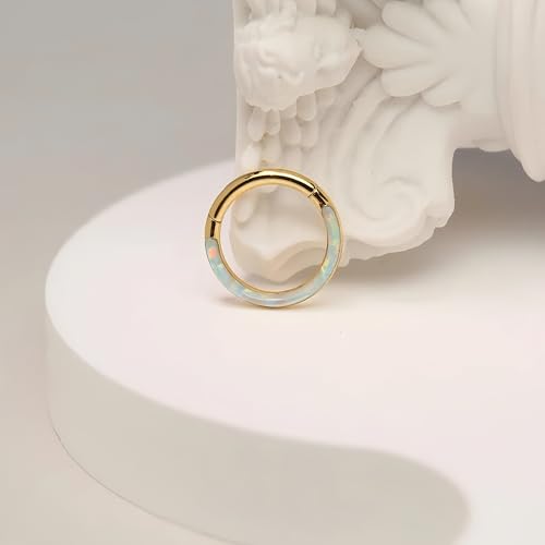 Image of PEAKLINK 16G 18G 316L Stainless Steel CZ /OPAL Septum Piercing Septum Clicker Ring Hinged Nose Ring Daith Earrings Conch Piercing Jewelry Helix Cartilage Tragus Lobe Belly Hoop Earring