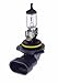 HELLA HLA-H83170031 HB4 9006 12V 80W Halogen Bulb Off Road Use