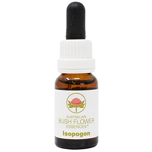 �I�[�X�g�����A���u�b�V���t�����[ �A�C�\�|�S��