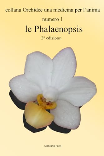 Orchidee: n° 1 le Palaenopsis
