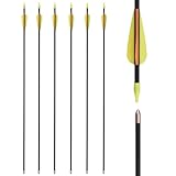 TY Archery