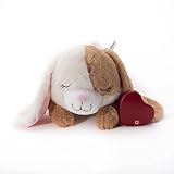 Downtown Pet Supply Heartbeat Puppy Toy with Pulse - Stuffed Rabbit Comfort Toy for Anxious Dogs with Removable Heartbeat - Puppy Heartbeat Toy Sleep Aid for Small, Medium, and Large Breeds, 12' Long