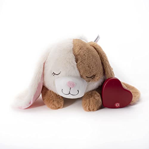 Downtown Pet Supply Heartbeat Puppy Toy with Pulse - Stuffed Rabbit Comfort Toy for Anxious Dogs with Removable Heartbeat - Puppy Heartbeat Toy Sleep Aid for Small, Medium, and Large Breeds, 12\" Long
