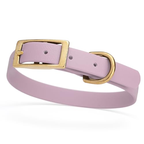 Image of Viper Biothane Heavy Duty Waterproof Dog Collar Strong Coated Nylon Webbing w /Solid Brass Hardware Odor-Proof Easy to Clean High Performance Fits Small Medium or Large Dogs, Pastel Purple