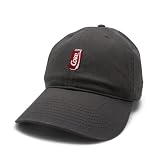AMERICAN NEEDLE Micro Slouch Casual Baseball Dad Hat Coke Coca Cola Bottle, Grey (SMU489A-COKE)