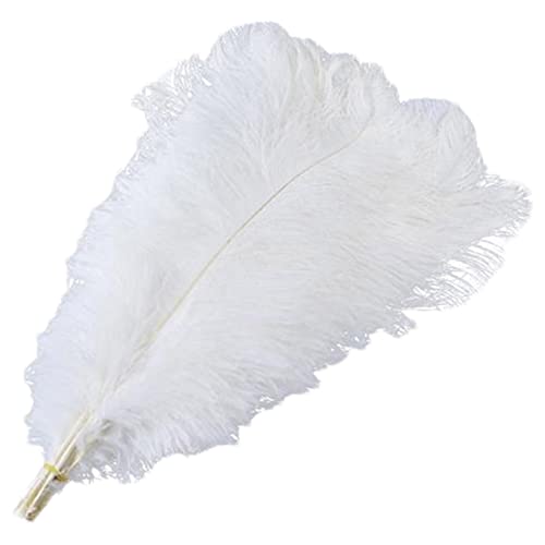itrimaka Plumes pour l'artisanat | Plumes Blanches d'autruche Naturelles moelleuses pour l'artisanat,Plumes Artisanales Blanches sans cruauté pour Les décorations de Maison et de Bureau de fête thumbnail