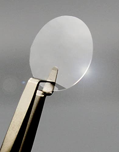 Poly-D-Lysine German Glass Coverslips 24Mm #1 #TOP4