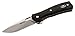 Buck Knives 0342BKS Vantage PRO Folding Knife with Clip