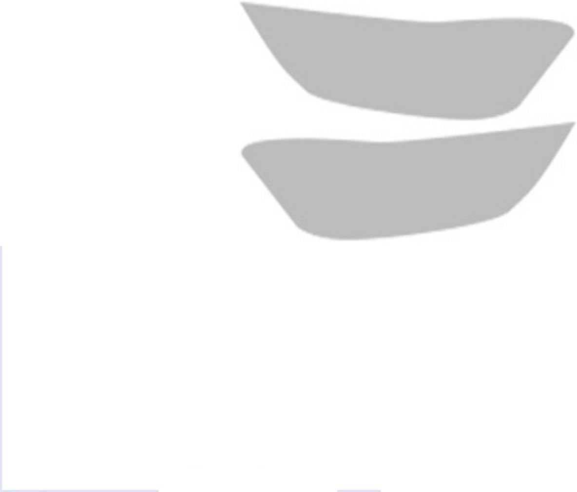 NAKEAH Car Headlight Protective Film for F-ord Edge 2018-2019 Transparent Car Headlight Protective Film Scratch TPU Light Cover Film