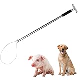 Dog Catcher Pole Holder Animal Control Tool Heavy Duty Stainless Steel Catch Pole for Trapping for Dog Pig Swine Animal Livestock, Rod Length 30 inches
