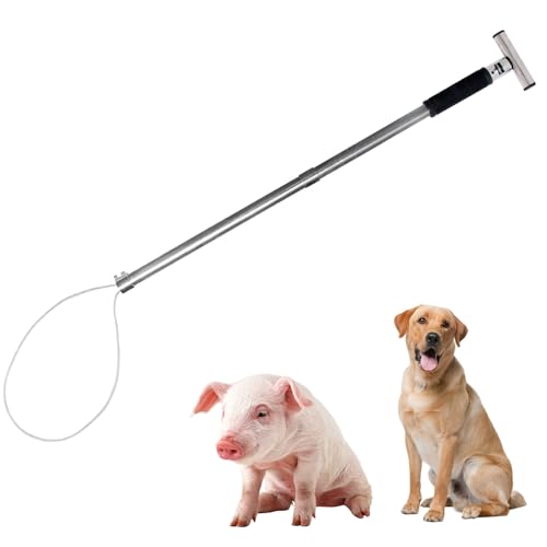 Dog Catcher Pole Holder Animal Control Tool Heavy Duty Stainless Steel Catch Pole for Trapping for Dog Pig Swine Animal Livestock, Rod Length 30 inches