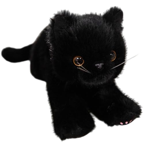 YWHTL lR u ʂ A  L L 킢 { L lR ͌^ G NbV g OєL  Aj} ӂӂ Q܂ ̔L lR 炩  X CeA L J[6 lR̂ʂ