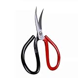 Jieoto カーブ卓球ラバー用はさみ - 高炭素鋼刃、人間工学に基づいたグリップ、30°カーブ、鋭利な3CR13ステンレス鋼刃｜ラバー交換ツール [プロ卓球選手開発] (B)