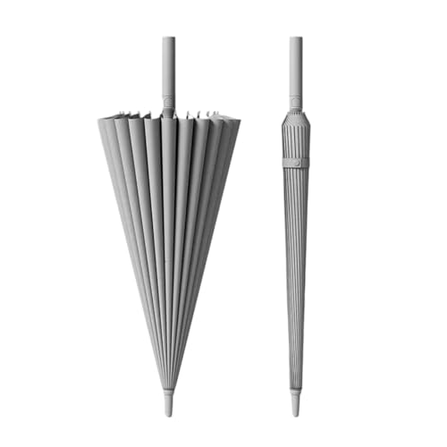 P Y [fBX P y amP 24{ 傫  WvP xOXt@Co[ St n ϕP JP ^b` J J ~J΍ 䕗Ή jp CgO[