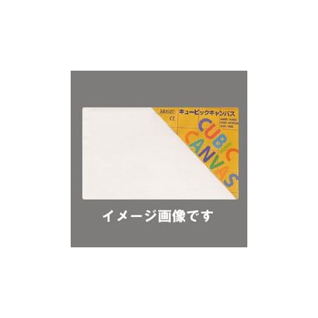 Amazon  那須野 キュービックキャンバス 30×60cm 白  キャンバス 
