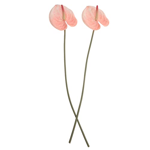 MUCKLILY 3d�v�����g���ԃA���X���E���t�����[2�Z�b�g���F�򂹂ɂ��������׃V�~�����[�V�����A�������������p�l�H�A���f�B�X�v���C����������p�[�e�B�[�̃t�����[�A�����W�����g�p