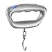 LJP Portatile Bilancia per Bagagli Precisione Digitale Bilancia Elettronica 50kg Viaggio Pacchetto Pesatura Bilancia da Pesca (Color : A)
