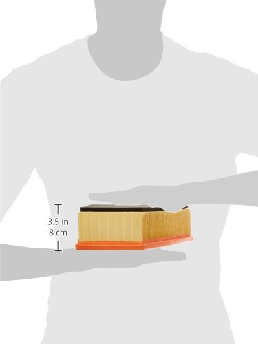 Purflux A1270 Filtri Aria - 2