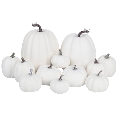 vensovo 12 Pcs Assorted White Plastic Pumpkin Decorations - Fall Home Decor for Thanksgiving, Halloween, Wedding & Party, DIY Craft Artificial Fake Foam Pumpkins for Table Centerpiece