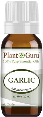 garlic essential oil - Garlic Essential Oil - 10 ml. 100% Pure Natural Undiluted Therapeutic Grade Allium Sativum