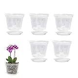 ♑ [Uso múltiple] La maceta transparente se puede usar para cactus, monarcas, rosas chinas, etc., ideal para orquídeas, Cattleya y Dendrobium. Es adecuado para empresas, cafeterías, balcones y jardines.