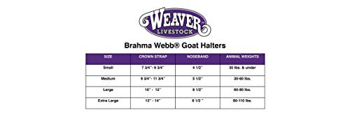 Weaver Livevstock Brahma Webb Goat Halter, Medium, Brown - Thumbnail 2