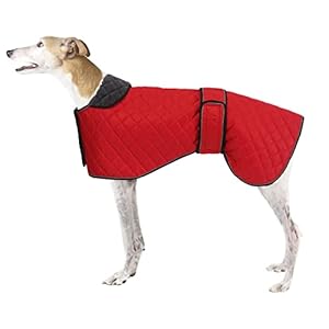 Greyhound Waterproof Coat,Whippet Winter Coat,Dog Winter Jacket with Fleece Lining,Adjustable Outdoor Pet Dog Apparel for Medium or Large Dog,ideal for Greyhound Whippet Lurcher Salukis-Red-XXL