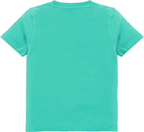 Image of kiddeo Boys Cotton Halfsleeve T Shirts (Pack of 3)