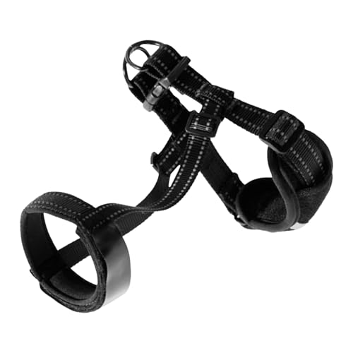 QAOVLTH i錢p p - ړIˌp | |[^upցA݂A݂Aʖih߂̍p