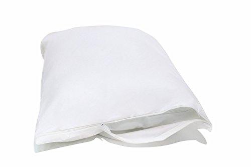 Deluxe Home 2 Pack Ultimate Bed Bug Blocker Zippered Pillow Protectors (King)